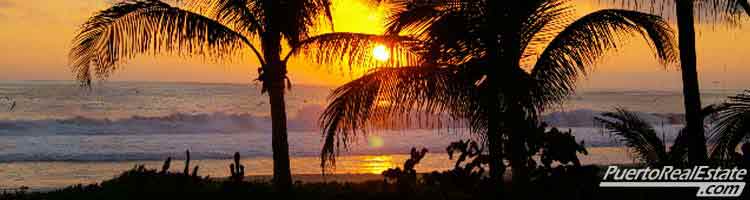 Beach sunset