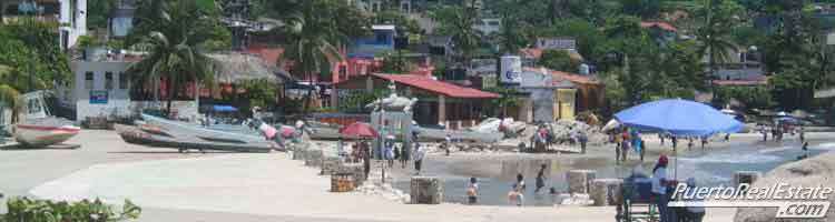 Palm tree huts